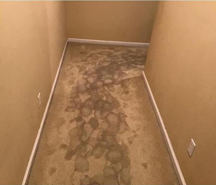 Soaked carpet after heavy rainfall