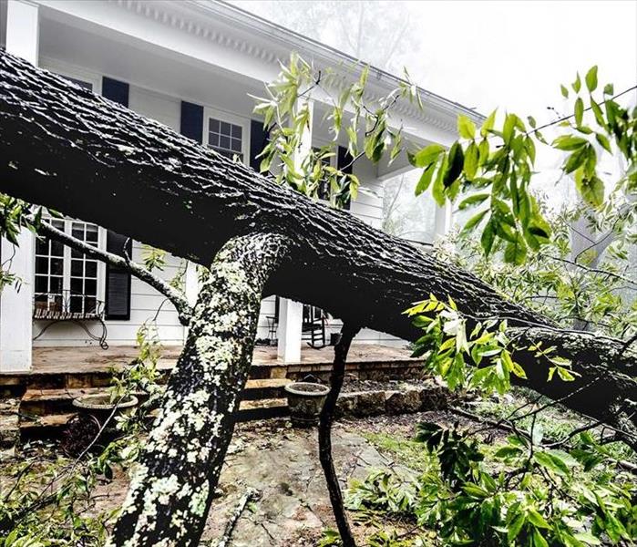 Tree down overtop of a home in Blount County Tennessee