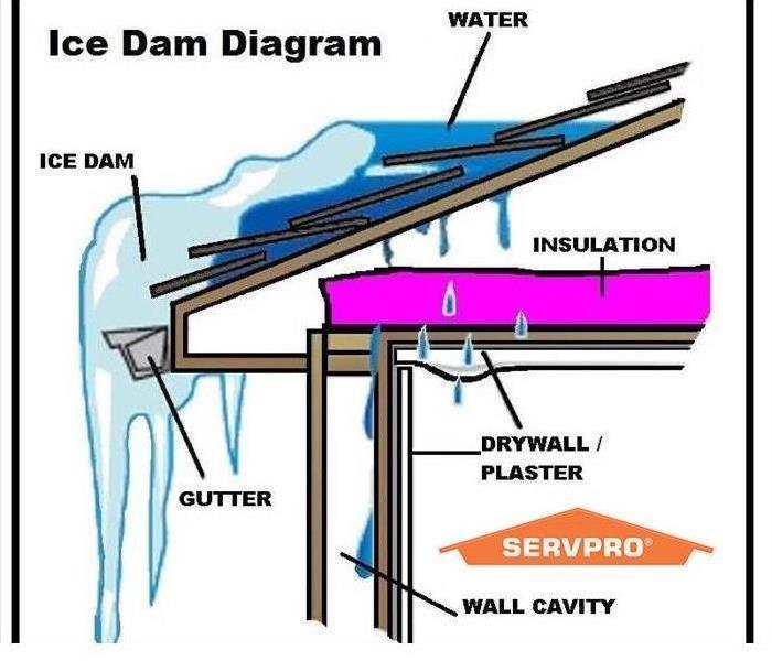 diagram of ice dam that depicts water, ice dam, insulation, gutter, drywall and wall cavity. Servpro logo in bottom right cor
