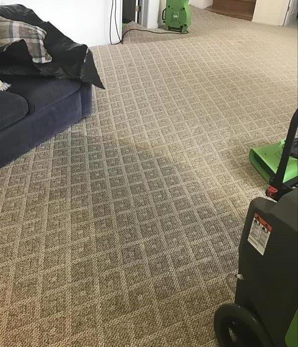 Wet carpet in a Maryville Basement 